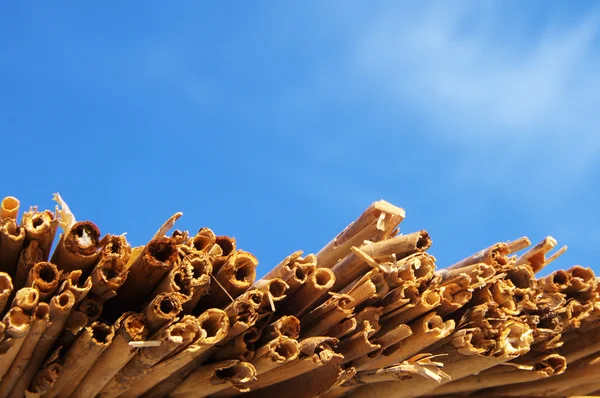 Ветки сухого бамбука против голубого неба. Абстрактный фон . — стоковое фото