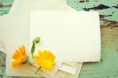 Sarı Yaz çiçekleri bir calendula ve ahşap bir yüzey üzerinde antik boş fotoğraflar. Nostaljik yaz arka plan ile bir kadife çiçeği üzerinden bir buket. Bayram kartı.