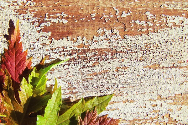 Fundo de outono com folhas de outono brilhantes. Folhas de outono em uma superfície de madeira textural. Com espaço de cópia — Fotografia de Stock