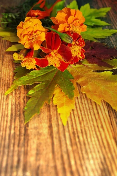 Autumn background with bright autumn flowers and leaves. Autumn flowers and leaves on a textural wooden surface.