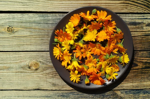 Yellow summer flowers in a round ceramic plate on a wooden surface. Calendula flowers. Medicinal herbs — Stock Photo, Image
