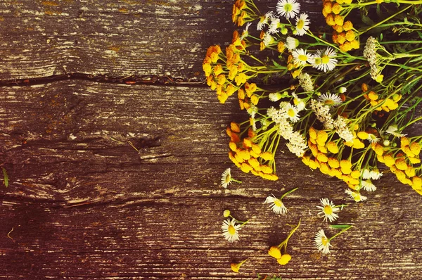 Summer flowers on a wooden old background. Medicinal flowers of a tansy. Beautiful flower background with yellow flowers in vintage style