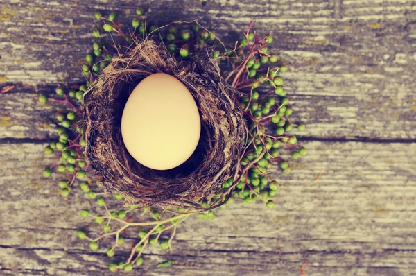 Egg in the nest decorated with wild grapes on an old wooden background. — Stockfoto