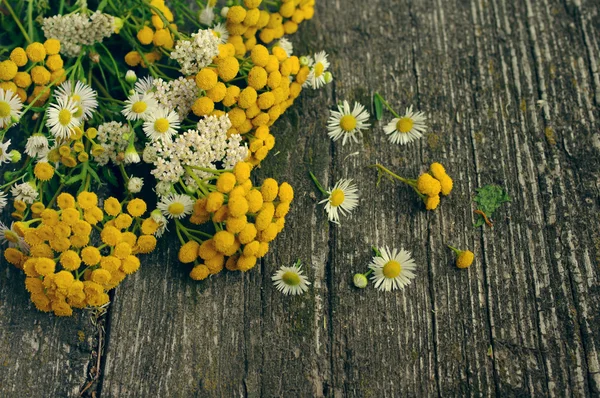 Красивый цветочный фон с желтыми цветами в винтажном стиле — стоковое фото