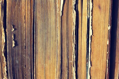 Bir yığın eski kitap..