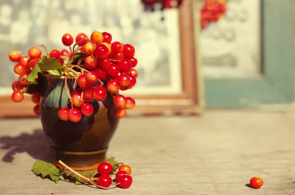 Boeket van guelder-rose bessen in een vaas en oude foto's op een houten achtergrond. — Stockfoto