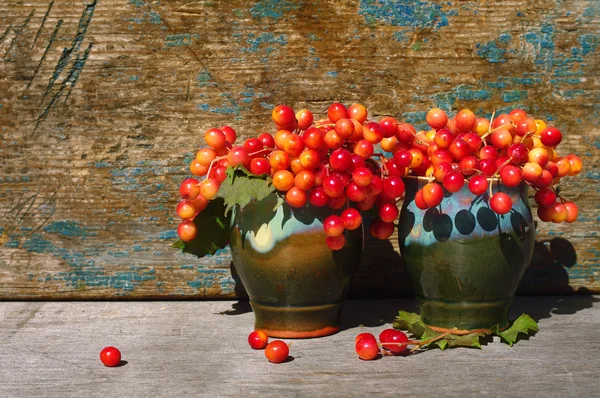 Bukett från guelder-rose bär i en vas. — Stockfoto