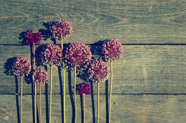 Wild onions on a textural wooden surface — Stock Photo, Image