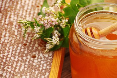 Çiçekler ve peteğin tatlım