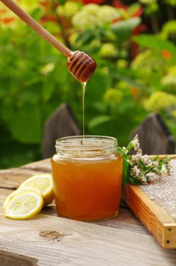 Çiçekler ve peteğin tatlım