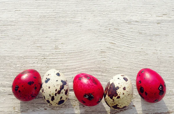 Codorna coloridos ovos de Páscoa em fundo de madeira — Fotografia de Stock