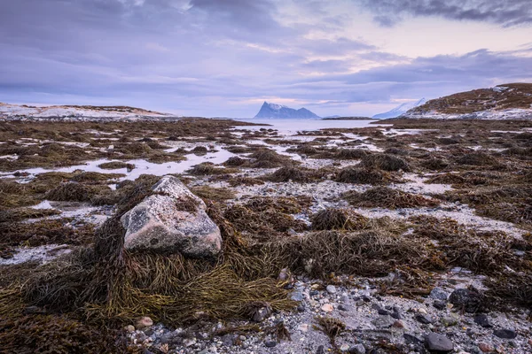 Norveç'te doğal deniz manzarası