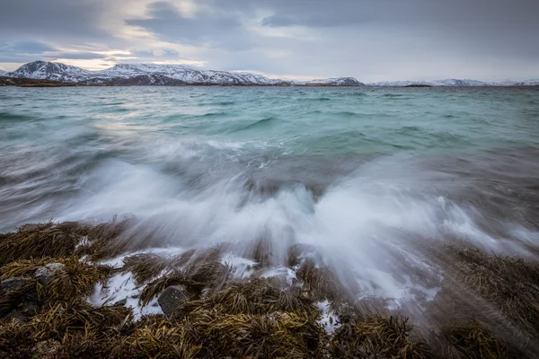 Waves crashing on the rocks in Norway — Stock Photo, Image