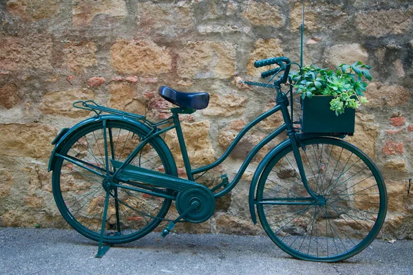 Dekoracyjny retro-vintage model roweru z roślinami — Zdjęcie stockowe