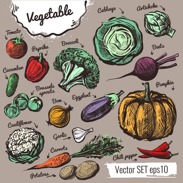 Conjunto vetorial de vegetais desenhados à mão — Vetor de Stock