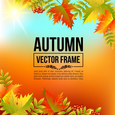 Sonbahar yaprakları, akçaağaç. Vektör parlak çerçeve