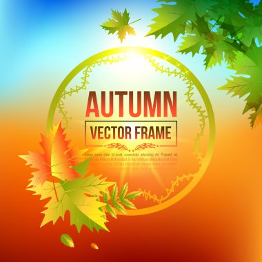 Sonbahar yaprakları, akçaağaç. Vektör parlak çerçeve