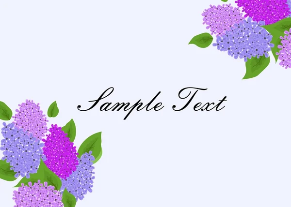 The lilac template — Stock Vector