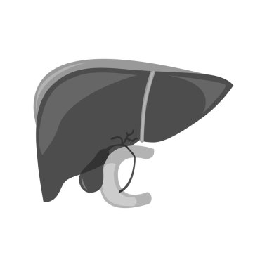 insan karaciğer siyah