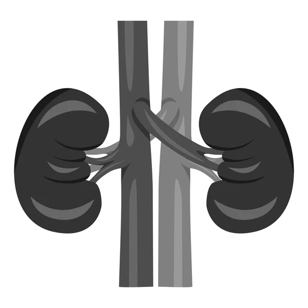 Human kidney black — Stock Vector
