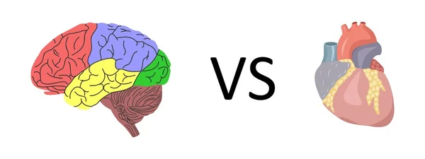 Brain vs heart — Stock Vector