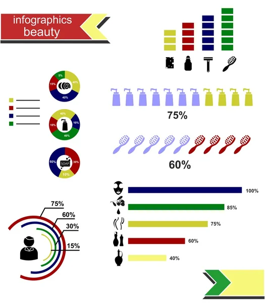 La beauté des infographies — Image vectorielle