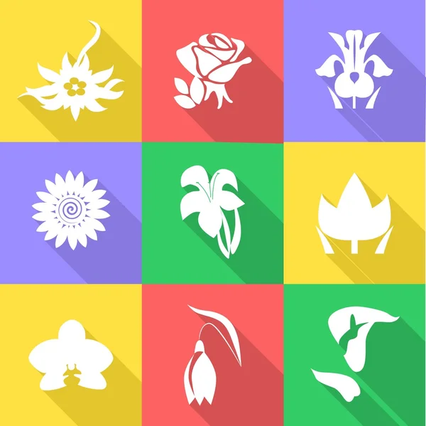 Los iconos de las flores — Vector de stock