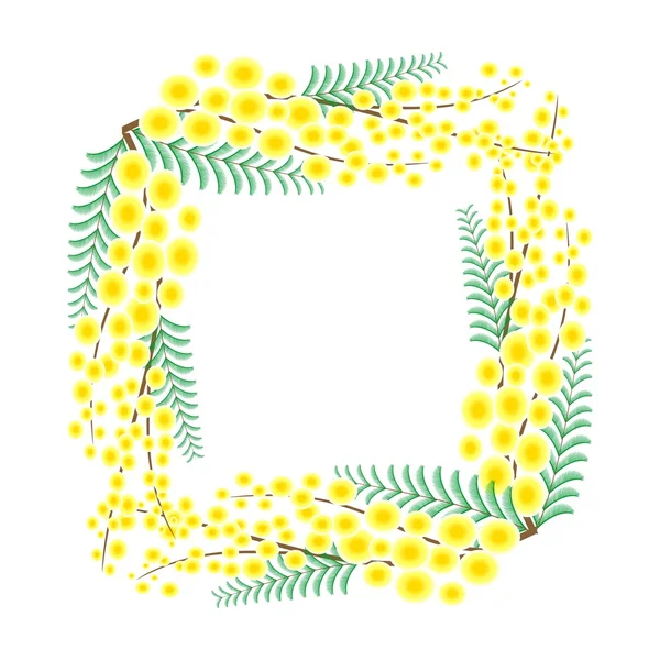 Het mimosa-frame — Stockvector