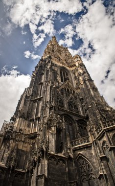 Uzun boylu Gotik Katedrali