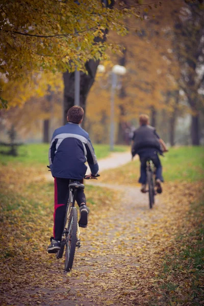 秋の公園の自転車 ストック写真