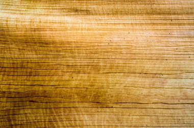 ağaç desen kabuğu