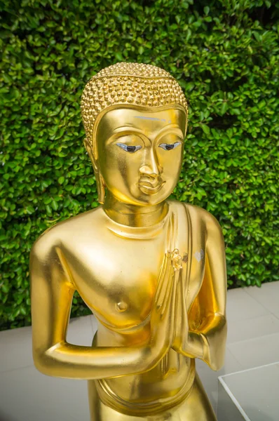 Goldenes Buddha-Bild im Tempel, Thailand — Stockfoto