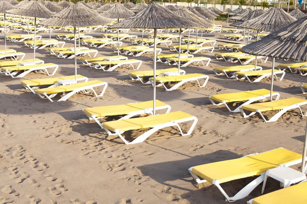 The yellow sunbeds — Stock Photo, Image