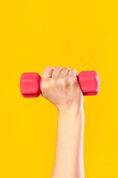 Woman hand holding pink dumbbell isolated on yellow