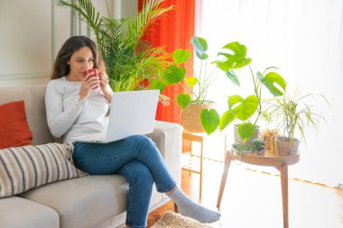 Kanepede oturan ve dizüstü bilgisayar kullanan genç bir kadın. Güneşli bir günde oturma odasında kahve içiyor.