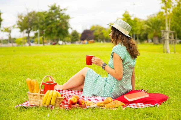 Piękna Młoda Kobieta Mając Piknik Słoneczny Wiosenny Dzień Par — Zdjęcie stockowe