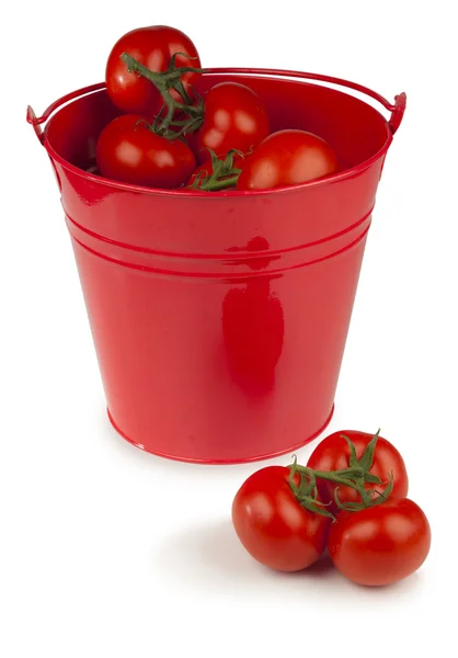 Red tomatoes in a bucket — Stock Photo, Image