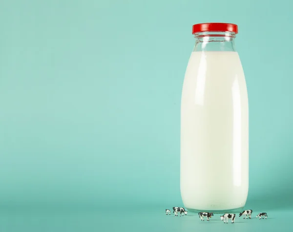 Milch und Kühe — Stockfoto