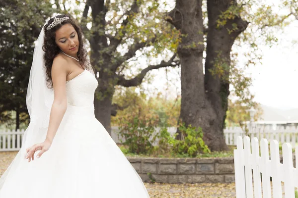 Beautiful bride — Stock Photo, Image