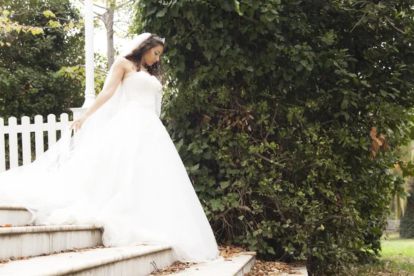 Beautiful bride — Stock Photo, Image