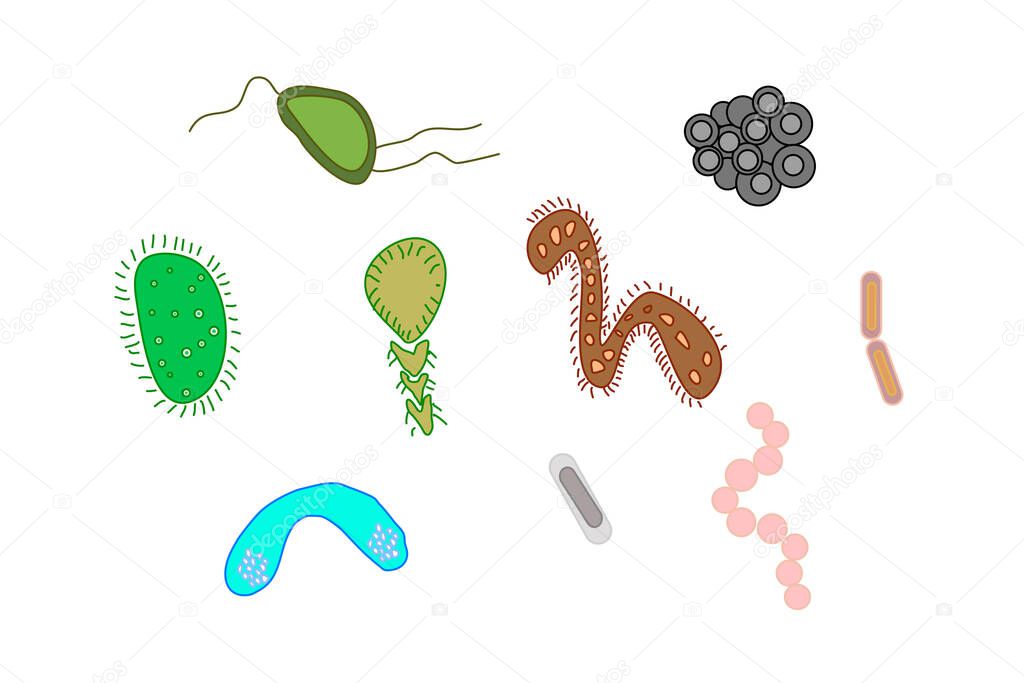 Stock vector colorful illustration of cartoon bacteria set in different forms. Doodle bacteria collection ideal for demonstrating children harm of bacteria, showing guts flora or soap advertising.