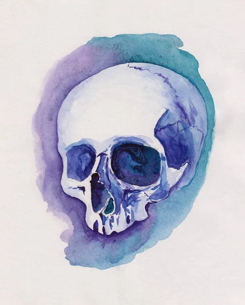 Watercolor sketch painting with colorful human skull on paper. Use for t-shirt print, card, tattoo, barber shop, Halloween interior decoration. Hand drawn creative illustration. Original artwork.