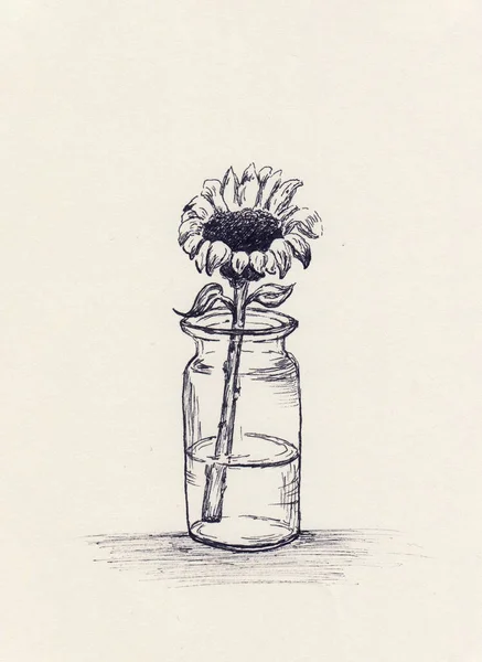 유리병을 그리기 손으로 스케치 일러스트 빈티지 스타일인 모노크롬 아트를 그렸습니다 — 스톡 사진