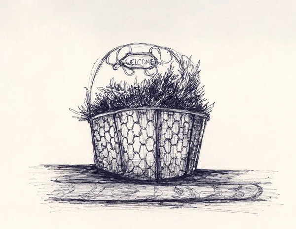 Pen Drawing Grass Old Metal Bucket Hand Drawn Black Ink — 图库照片