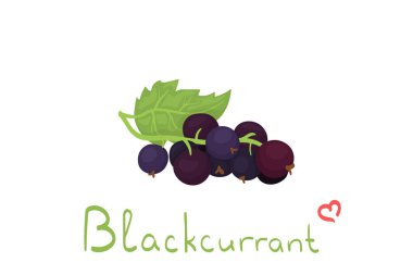 Cartoon vector illustration with blackcurrant isolated on white background. Cute summer berries with lettering. Use for fabric print, food package, wrapping paper. Juice/smoothie decoration.