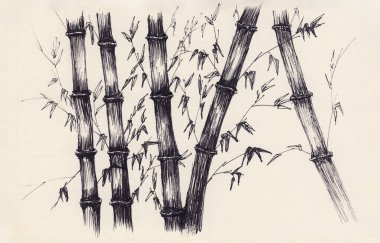 Bambu saplı ve yapraklı kalem çizimi. Asya tarzında tek renkli sanat eserleri. Doğulu doğa manzarası. Kart, kafe dekorasyonu ve duvar kağıdı için sakin bir illüstrasyon. Huzurlu meditasyon arka planı.