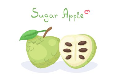 Şeker (Custard) Apple ile şirin vektör çizimi - dilimlenmiş yarısı. Beyaz arka planda, harflerle izole edilmiş tatlı meyveler. Baskı, menü, kart, yemek salonu için kullan. Güneydoğu Asya meyvesi.