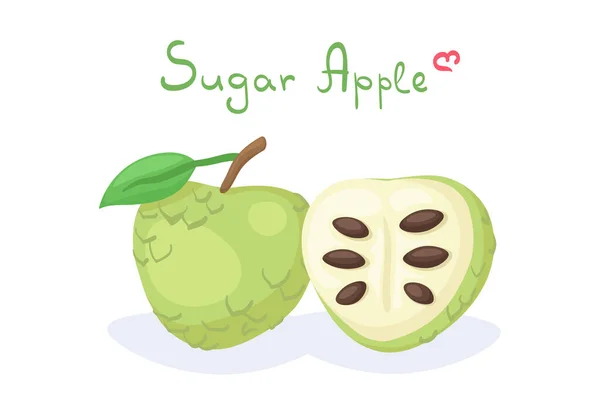 用Sugar Custard Apple Whole和Sliced Half来描述可爱的向量 甜甜的水果 背景白色 有字母 用于印刷 食品大厅 — 图库矢量图片