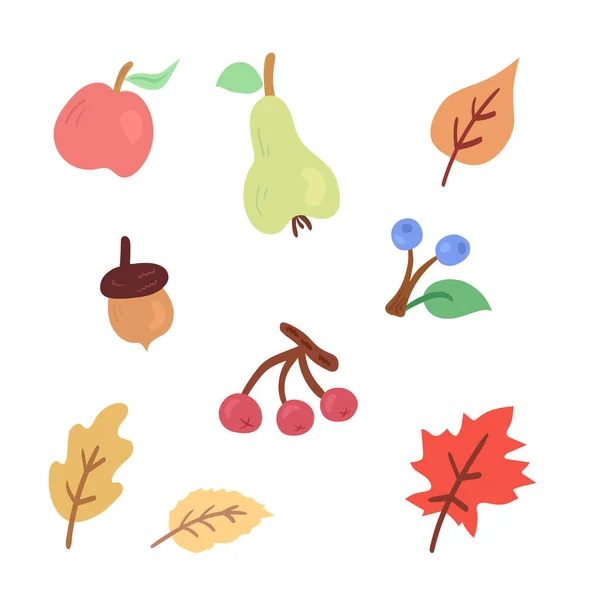 Podzim Posázen Listy Ovoce Bobule Vektorové Ilustrace Podzimní Listy Javor — Stockový vektor