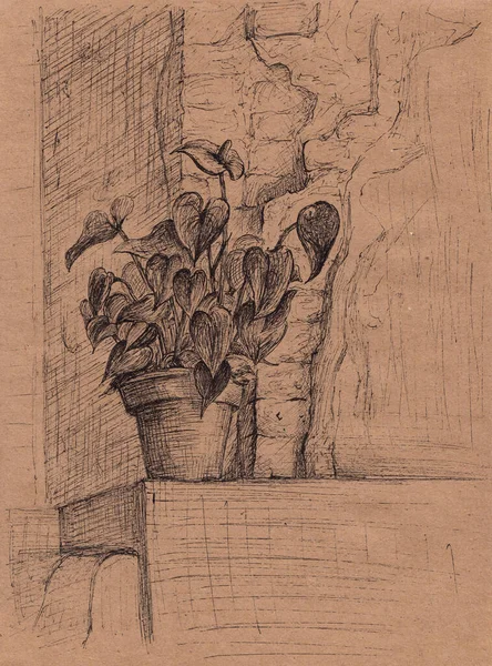 Handritad Bläckpenna Illustration Blomkruka Med Calla Lilja Växter Mysig Fridfull — Stockfoto
